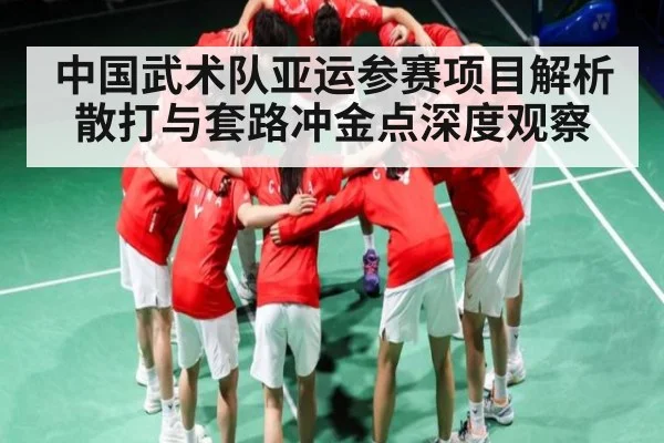中国武术队亚运参赛项目解析 散打与套路冲金点深度观察
